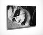 Wallity DC225 Lienzo Decorativo Multicolor 30 x 40 cm